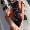 Masivo Obsidiana negra | Protección - Imagen 3