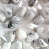 Rodado Piedra Luna | Feminidad