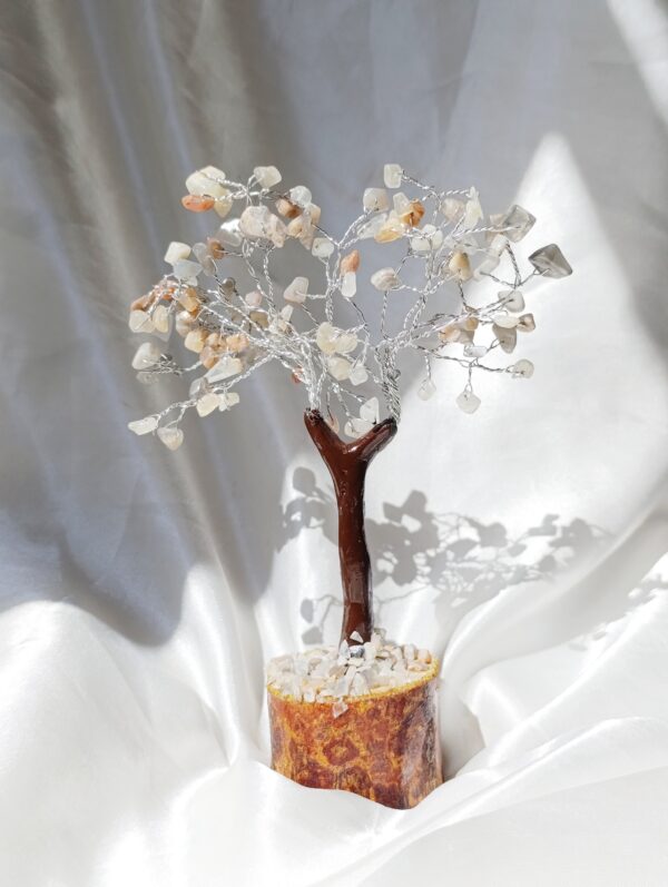Árbol bonsai Cristales chip piedra luna melocotón | Equilibrio emocional