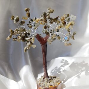 Árbol Bonsai Cristales chip Labradorita | Transformación