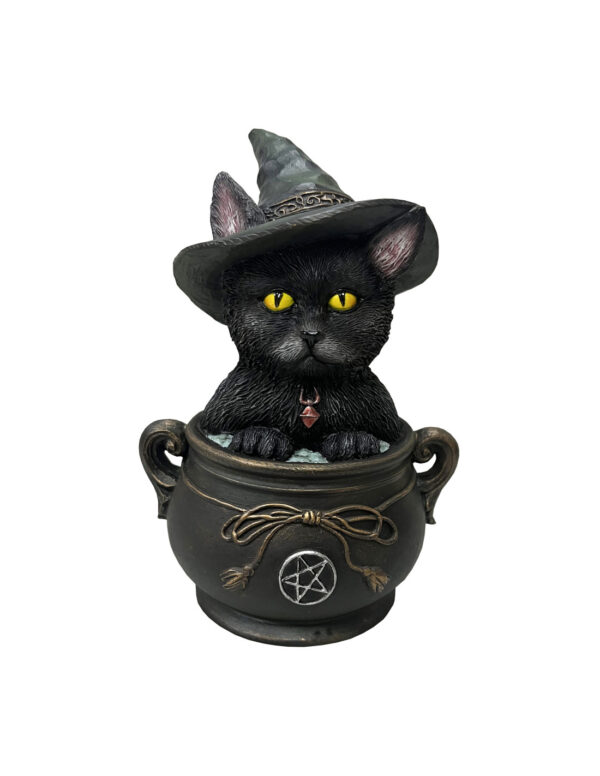 Gato Khufu dentro de Caldero con Pentagrama | Magia y Misterio Felino