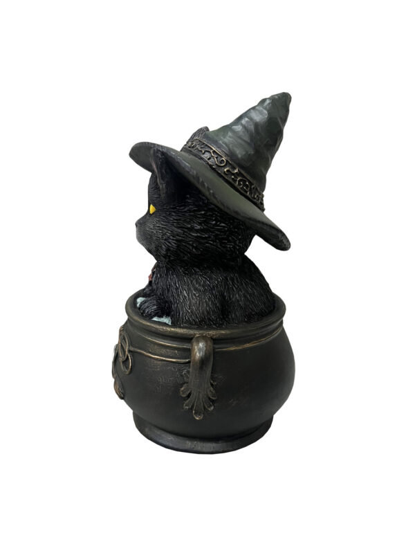 Gato Khufu dentro de Caldero con Pentagrama | Magia y Misterio Felino - Imagen 5
